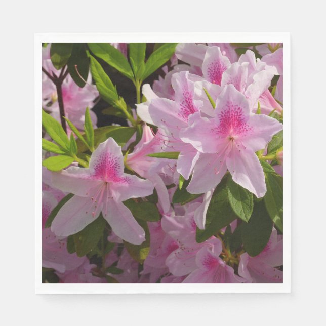 Rosa Azalea Bush Vår Blommigt  Pappersservett (Framsidan)