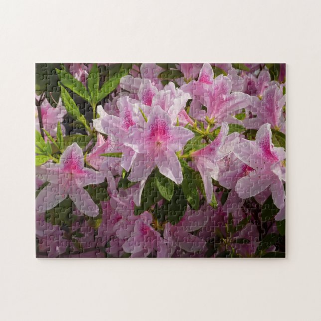 Rosa Azalea Bush Vår Blommigt  Pussel (Horisontell)