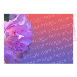 Rosa Azalea Flower Photo Card Hälsningskort