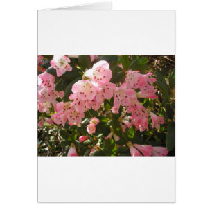 Rosa Azalea Flowera Hälsningskort