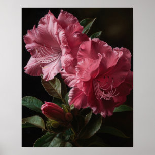 Rosa Azalea Flowers Art Print Poster