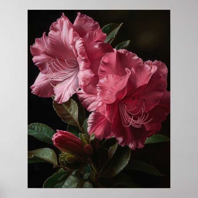 Rosa Azalea Flowers Art Print Poster (Framsidan)