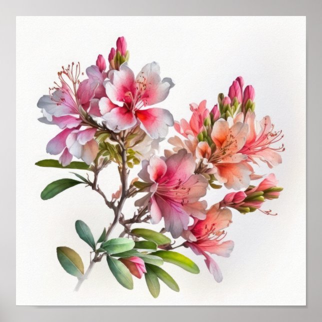 Rosa Azalea Flowers Art Print Poster (Framsidan)