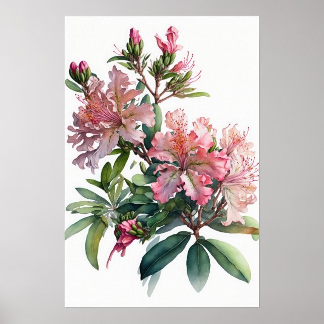 Rosa Azalea Flowers Art Print Poster (Framsidan)