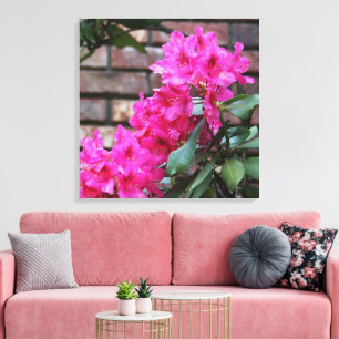 Rosa Azalea Flowers Canvas