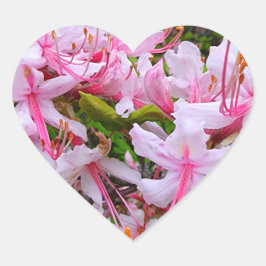 Rosa Azalea Flowers Hjärtformat Klistermärke