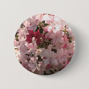 Rosa Azalea Knapp