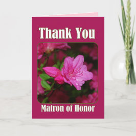 Rosa Azalea Matron of Honor Tack Kort