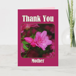 Rosa Azalea Mor Tack Blank