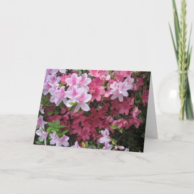 Rosa Azalea NoteCard Kort (Framsida)