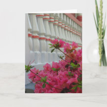 Rosa Azaleas - Martha's Vineyard Card