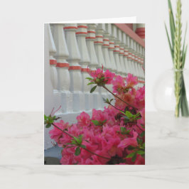 Rosa Azaleas - Martha's Vineyard Card Kort
