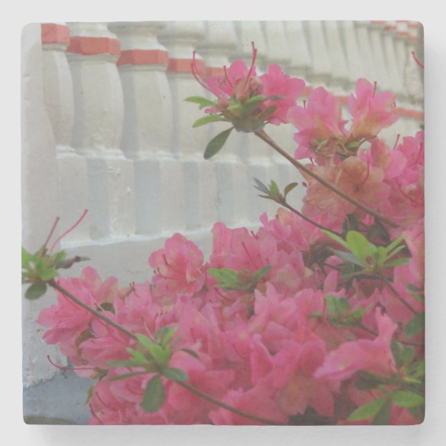 Rosa Azaleas - Martha's Vineyard Stenunderlägg (Framsidan)