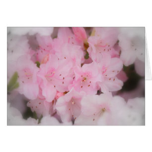 Rosa Azaleas OBS Kort