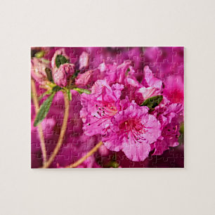 Rosa Azaleas Pussel