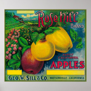 Rosa backeApple låda LabelWatsonville, CA Poster
