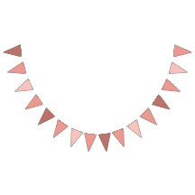 Rosa Ballet Shoes & Ro Birthday