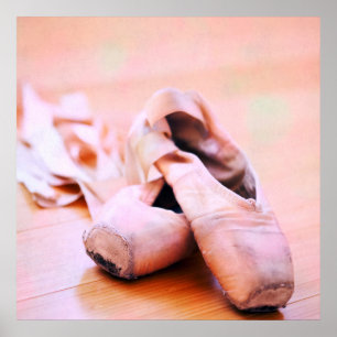 Rosa Ballet Slipper Pointe Shoes Dance Template Poster