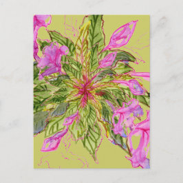 Rosa Balsam Flowers Bouquet på Grönt Vykort
