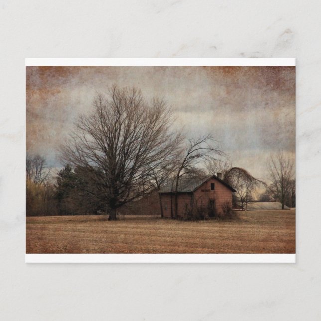 Rosa Barn-vykort Vykort (Framsida)
