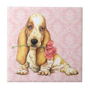 Rosa Basset för valentin Kakelplatta
