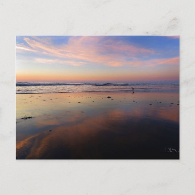 Rosa Beach Sunrise-vykort Vykort (Framsida)