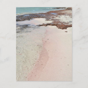 Rosa Beach-vykort Vykort
