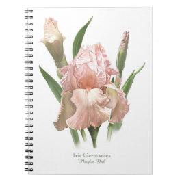 Rosa Bearded Iris Anteckningsbok
