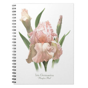 Rosa Bearded Iris Anteckningsbok