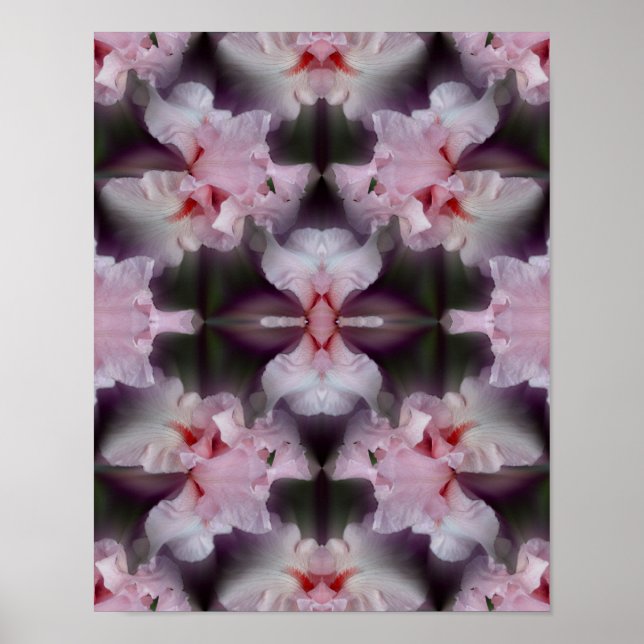 Rosa Bearded Iris Flower Abstrakt Poster (Framsidan)