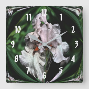 Rosa Beared Iris Abstrakt Flower Art Fyrkantig Klocka