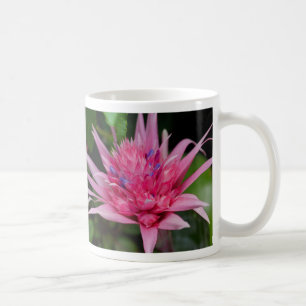 Rosa Beauty Coffee Mugg