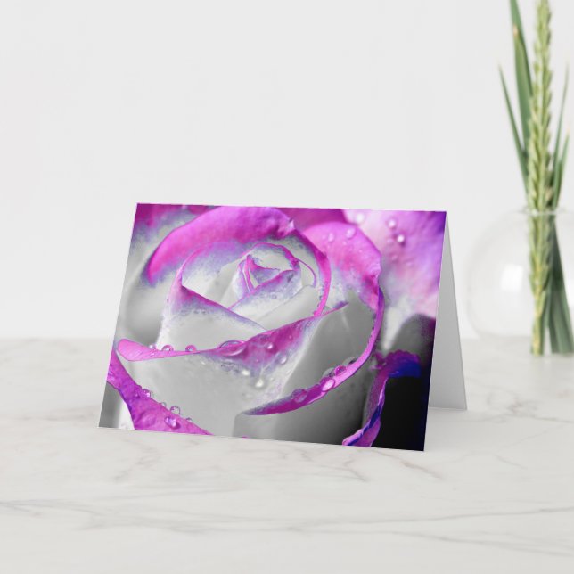 Rosa Beauty Ro Kort (Framsida)