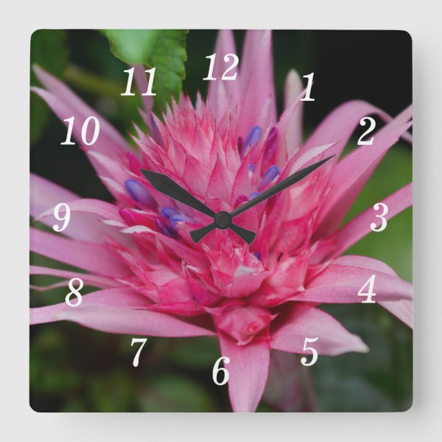 Rosa Beauty Wall Clock Fyrkantig Klocka (Framsida)