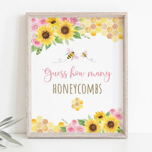 Rosa Bee Solros Birthday vet hur många spel Poster
