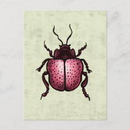 Rosa Beetle Cute Kryp Art - Insekt Älskare Vykort