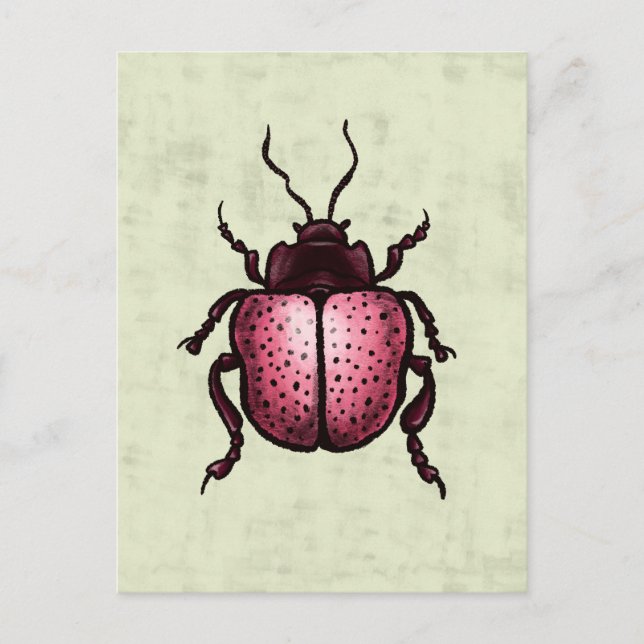 Rosa Beetle Cute Kryp Art - Insekt Älskare Vykort (Framsida)