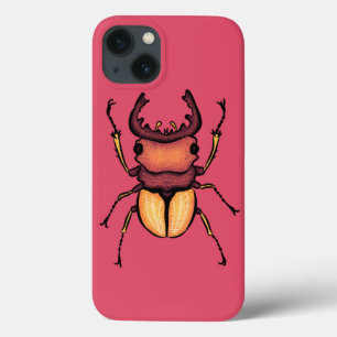 Rosa Beetle Insekt Älskare Art