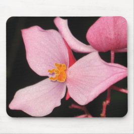 Rosa Begonia Mousepad Musmatta