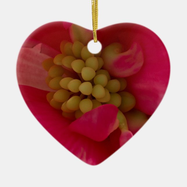 Rosa Begonia Stamen Macro Ornament (Framsidan)