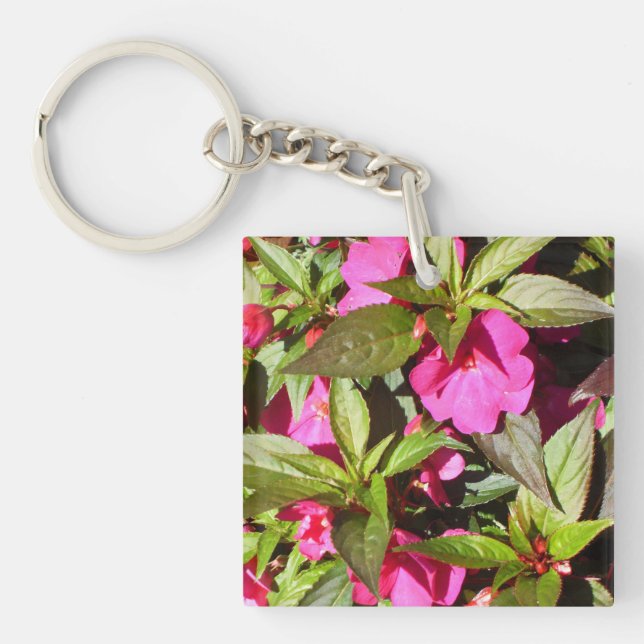 Rosa Begonias och Grönt Shiny Löv (Framsidan)