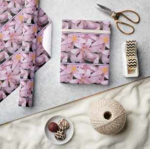 Rosa Belladonna-lilja presentpapper