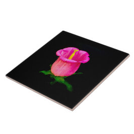 Rosa Bellblomma på Black Kakelplatta