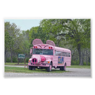 Rosa Ben Wheeler, Texas, Hogfest Buss Fototryck