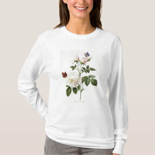 Rosa: Bengale Hymenesen Tee