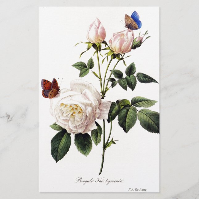 Rosa Bengale - Pierre Joseph Redouté. (Framsida)