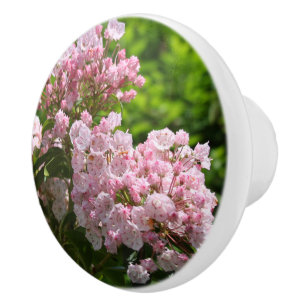 Rosa berglorbuskar blommor knopp