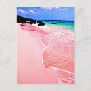 Rosa Bermuda Beach Vykort