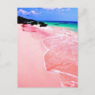 Rosa Bermuda Beach Vykort
