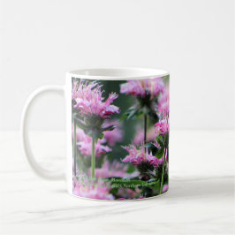 Rosa bibalsam, Monarda Kaffemugg